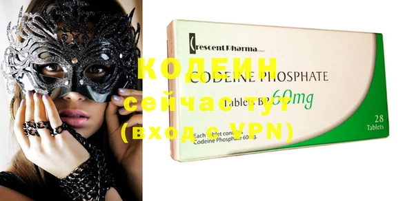 PSILOCYBIN Горняк