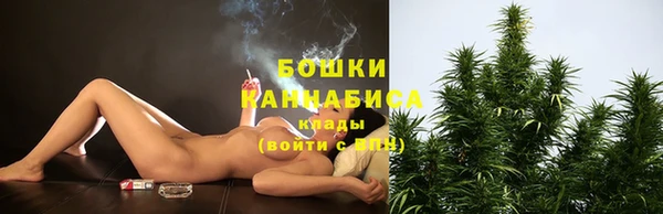 PSILOCYBIN Горняк