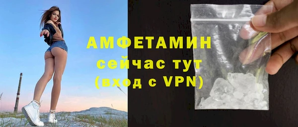 PSILOCYBIN Горняк
