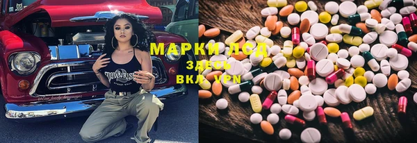 PSILOCYBIN Горняк