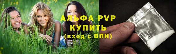 PSILOCYBIN Горняк