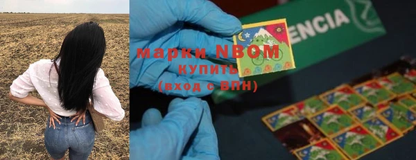 винт Гусев